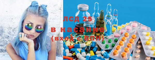 ПСИЛОЦИБИНОВЫЕ ГРИБЫ Белоозёрский