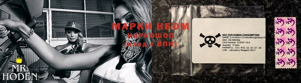 ПСИЛОЦИБИНОВЫЕ ГРИБЫ Белоозёрский