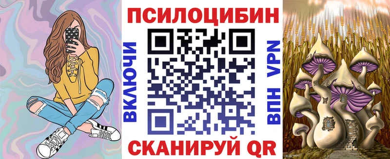 Галлюциногенные грибы Psilocybine cubensis  что такое   darknet телеграм  Кологрив 